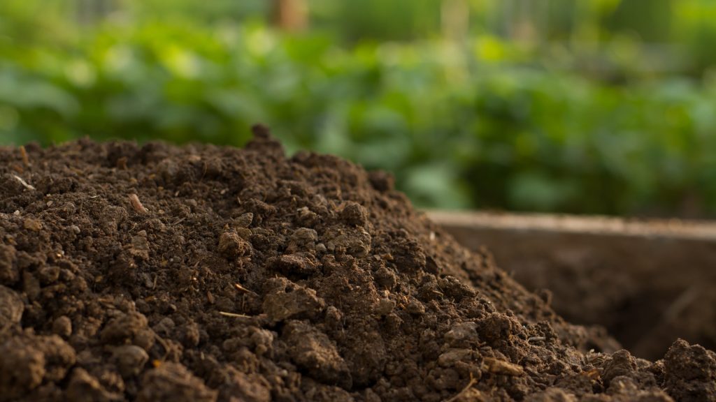 Compost, agricultura regenerativa