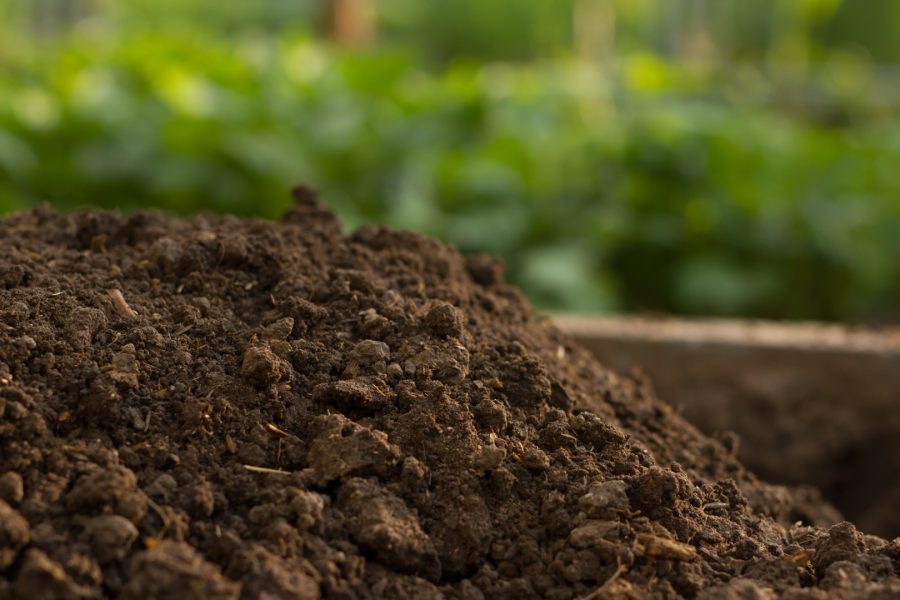 Compost, agricultura regenerativa